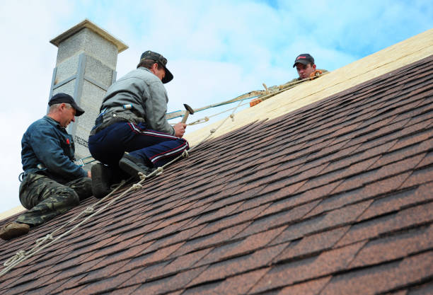 Quick and Trustworthy Emergency Roof Repair Services in Grand Junction, CO